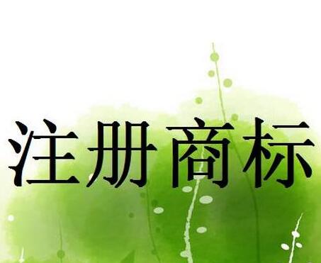 廣州公司撤銷商標注冊的條件